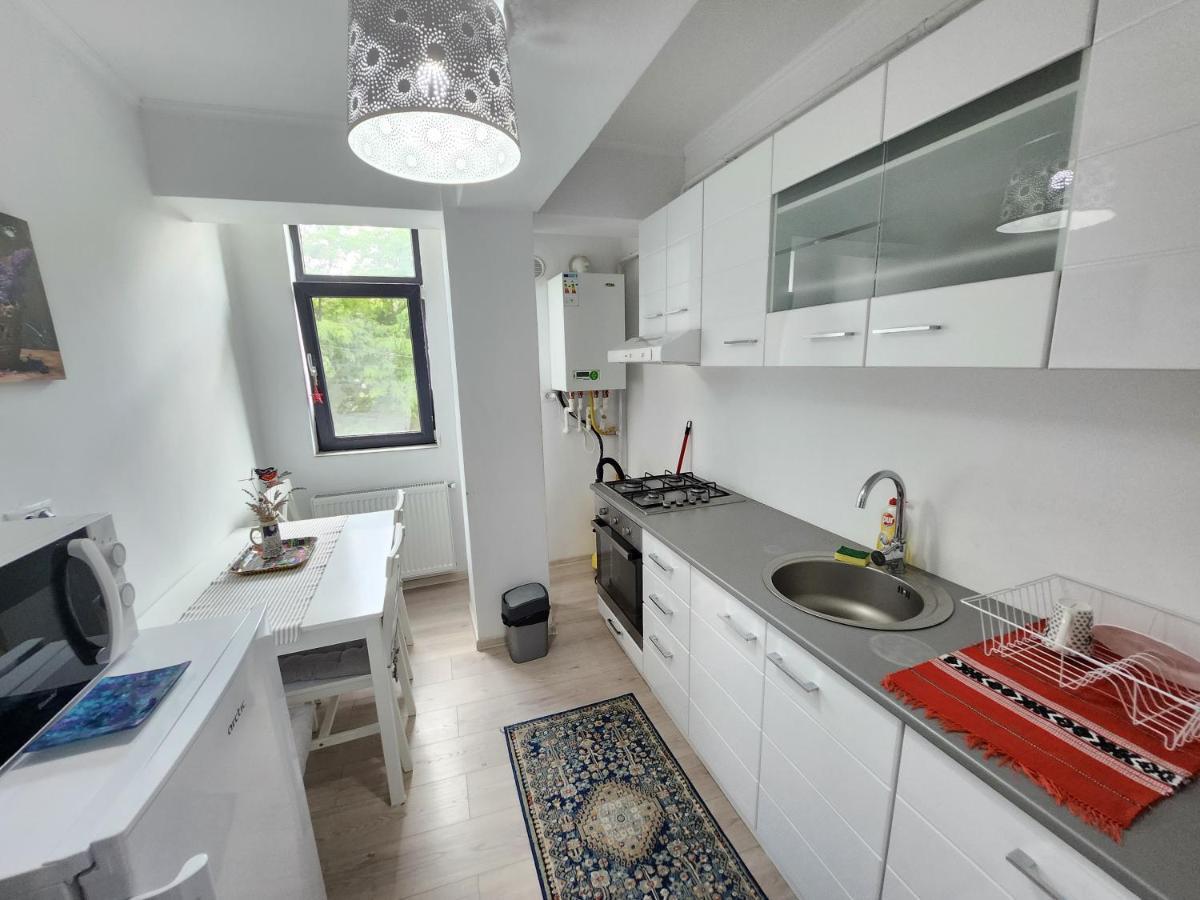 ياش New House In Ultra Center Near Iulius & Palas Mall المظهر الخارجي الصورة